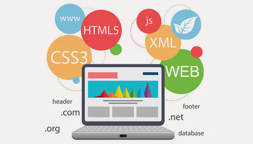 WEB DESIGN AND DEVELOPMENT SERVICES